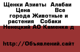 Щенки Азиаты (Алабаи) › Цена ­ 20 000 - Все города Животные и растения » Собаки   . Ненецкий АО,Каменка д.